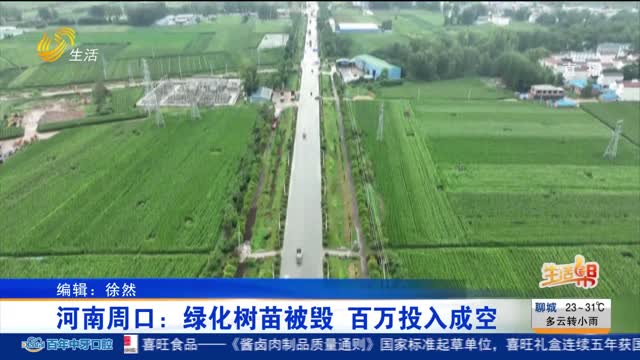 【重磅】河南周口：绿化树苗被毁 百万投入成空
