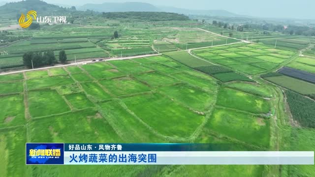 火烤蔬菜的出海突围【好品山东·风物齐鲁】