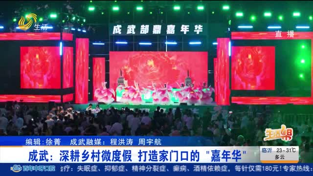 成武：深耕乡村微度假 打造家门口的 “嘉年华”