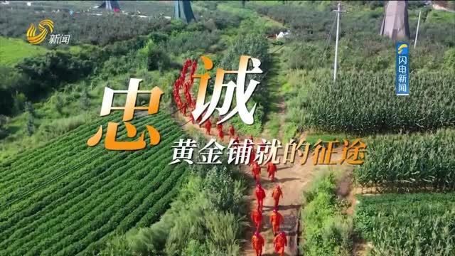 20260816《中国共产党，能！》：忠诚——黄金铺就的征途