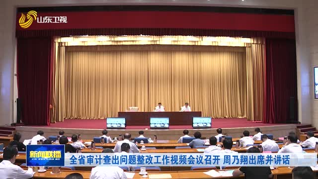 全省审计查出问题整改工作视频会议召开 周乃翔出席并讲话