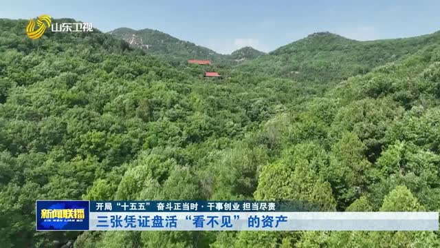 三张凭证盘活“看不见”的资产【开局“十五五” 奋斗正当时·干事创业 担当尽责】