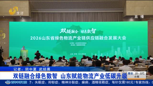 双链融合绿色数智 山东赋能物流产业低碳升级