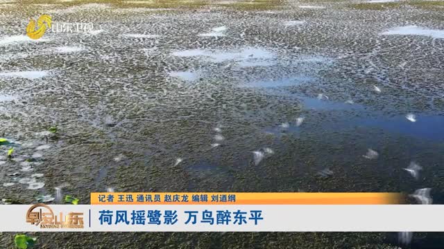 荷风摇鹭影 万鸟醉东平