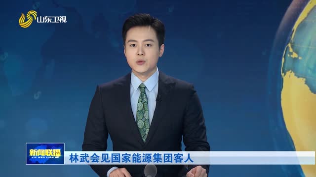 林武会见国家能源集团客人