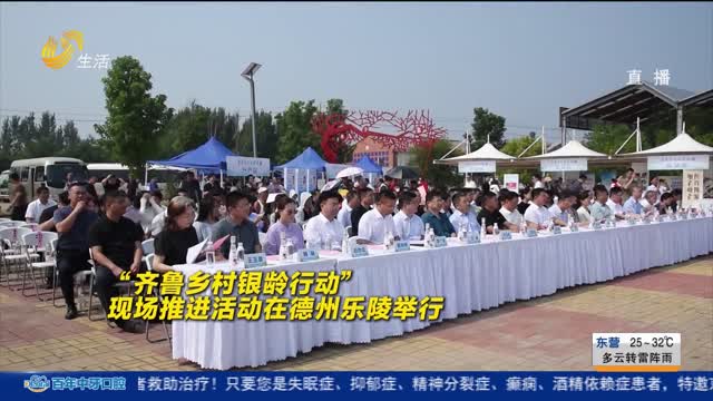 “齐鲁乡村银龄行动”走进乐陵 银龄志愿者助力乡村振兴