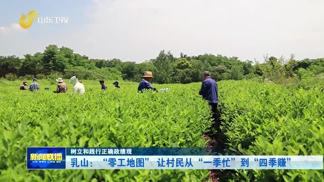 乳山：“零工地图” 让村民从“一季忙”到“四季赚”
