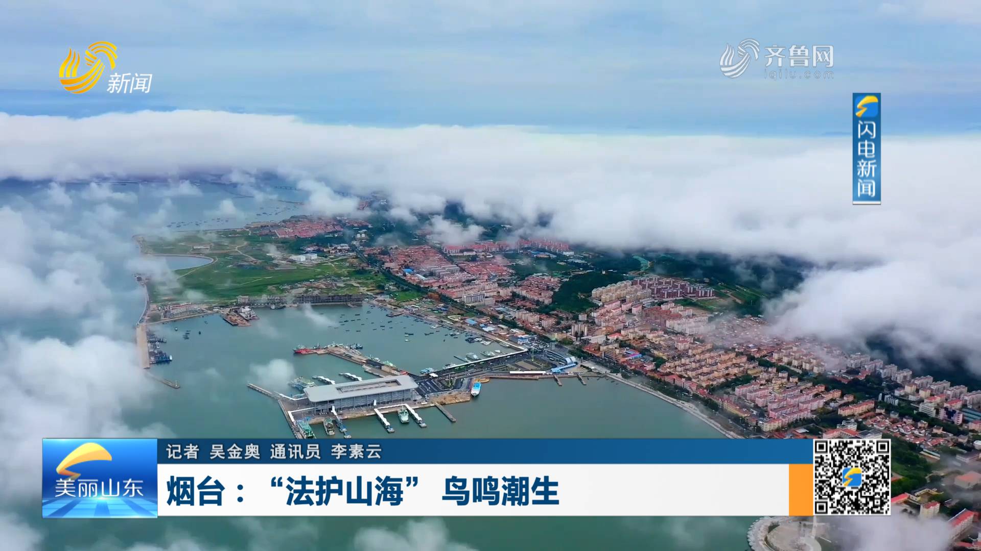 烟台：“法护山海” 鸟鸣潮生