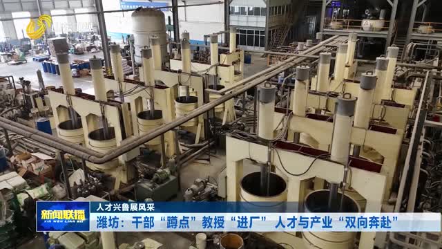 潍坊：干部“蹲点”教授“进厂” 人才与产业“双向奔赴”【人才兴鲁展风采】