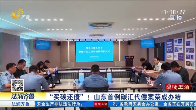 【法治进行时】“买碳还债”！山东首例碳汇代偿案荣成办结