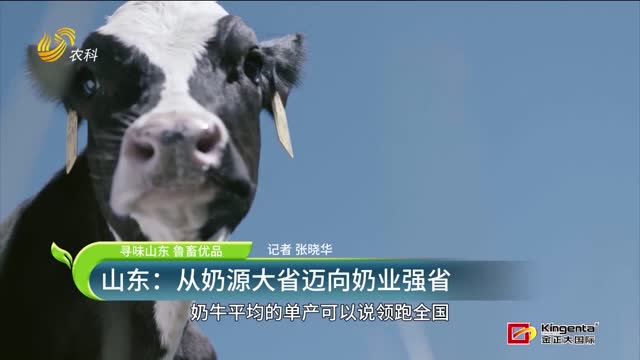【寻味山东 鲁畜优品】山东：从奶源大省迈向奶业强省