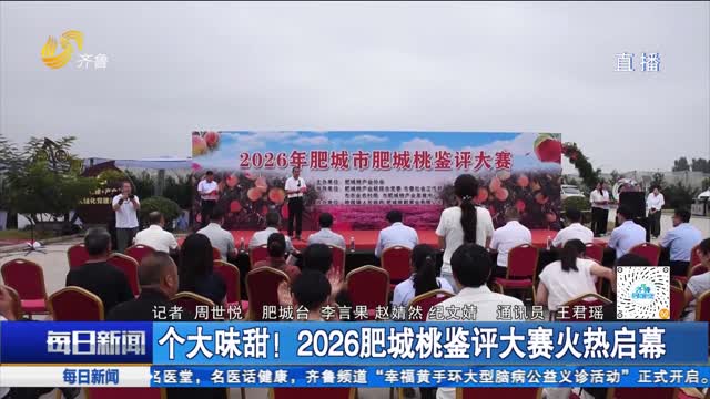 个大味甜！2026肥城桃鉴评大赛火热启幕