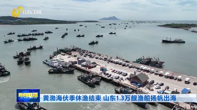 黄渤海伏季休渔结束 山东1.3万艘渔船扬帆出海