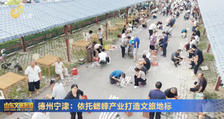 德州宁津：依托蟋蟀产业打造文旅地标