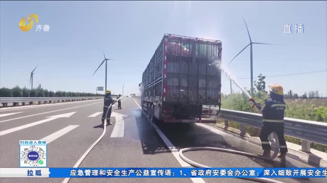车辆抛锚生猪“中暑” 消防紧急洒水降温
