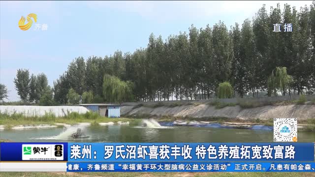 莱州：罗氏沼虾喜获丰收 特色养殖拓宽致富路