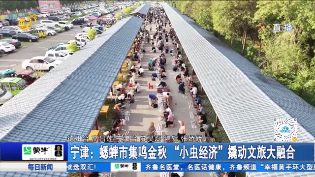 宁津：蟋蟀市集鸣金秋 “小虫经济”撬动文旅大融合