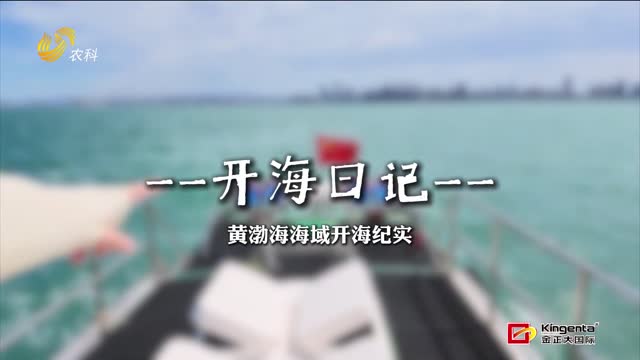 开海日记｜碧海开渔 鲜赴人间
