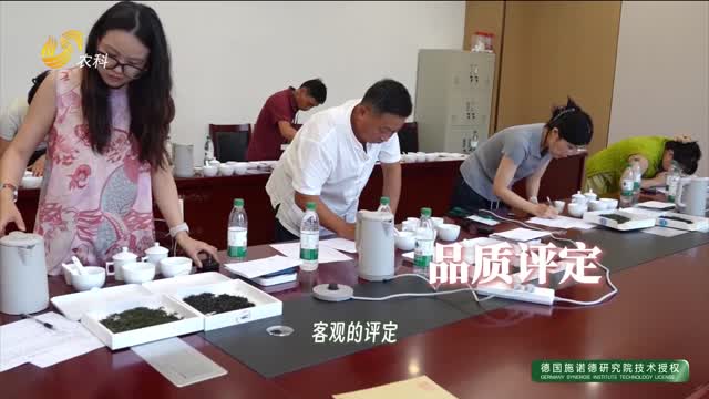 全省评茶高手以茶论道 同台比拼鉴茶功夫