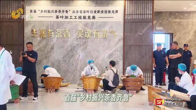 42位炒茶高手同台竞技 新茶人让鲁茶振兴后继有人