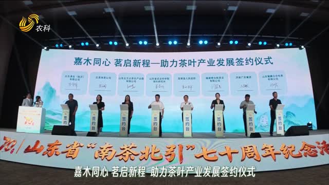 【耕耘七十载 茶香产业兴】山东省“南茶北引”七十周年纪念活动成功举办