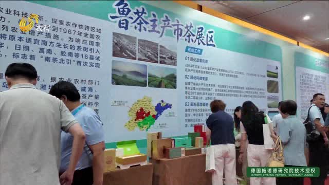 各地茶企相聚莒南 互学互鉴促发展