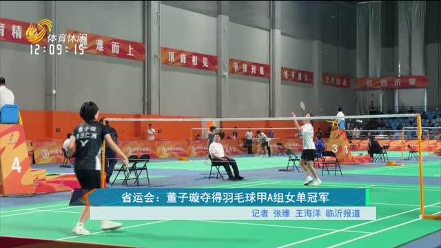 省运会：董子璇夺得羽毛球甲A组女单冠军