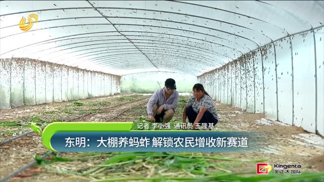 东明：大棚养蚂蚱 解锁农民增收新赛道
