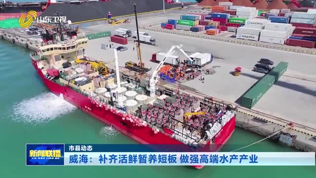 威海：补齐活鲜暂养短板 做强高端水产产业【市县动态】
