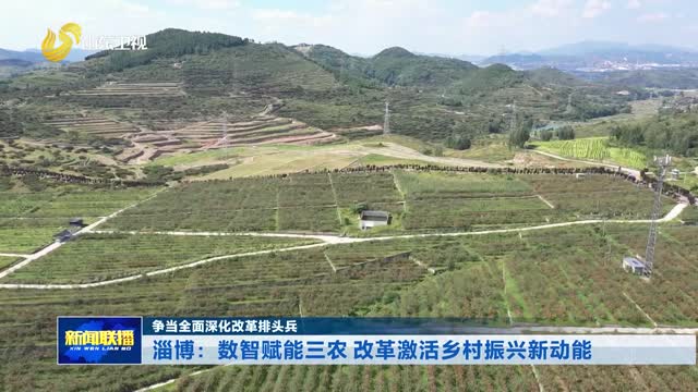 淄博：数智赋能三农 改革激活乡村振兴新动能【争当全面深化改革排头兵】