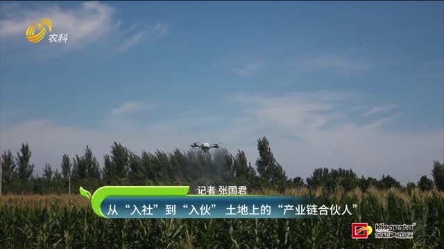 从“入社”到“入伙” 土地上的“产业链合伙人”