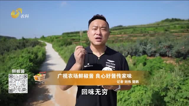 20260912《中国原产递》：鲜椒酱