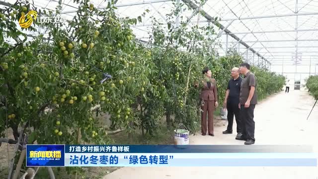 沾化冬枣的“绿色转型”【打造乡村振兴齐鲁样板】
