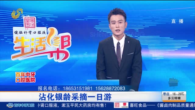 沾化银龄采摘一日游