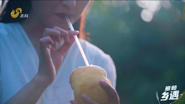 【意茹·乡遇】可以用吸管喝的桃子