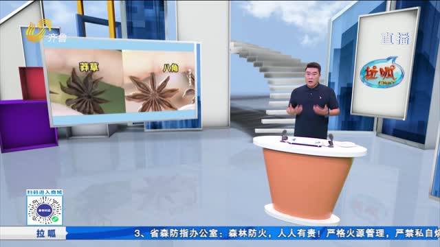拉呱秀：女子买的八角数出13个角 一查竟是剧毒莽草