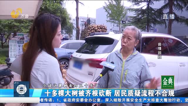 追踪：十多棵大树被齐根砍断 居民质疑流程不合规