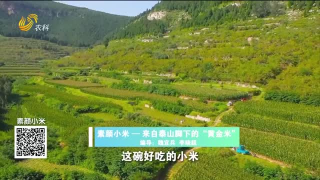 20260919《中国原产递》：素颜小米