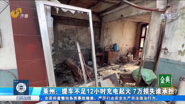 莱州：提车不足12小时充电起火 7万损失谁承担？