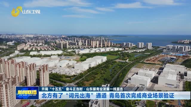 北方有了“词元出海”通道 青岛首次完成商业场景验证【开局“十五五” 奋斗正当时·山东服务业发展一线直击】