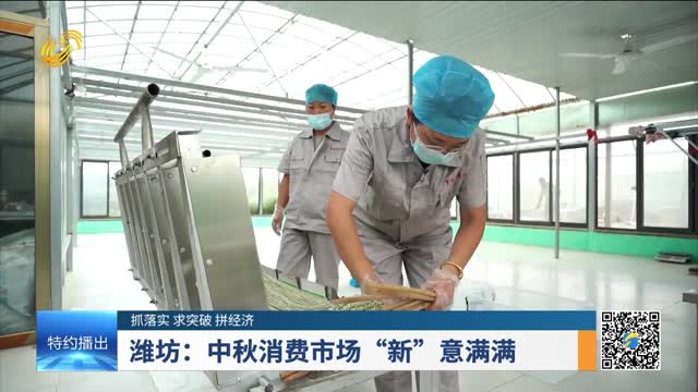 【抓落实 求突破 拼经济】潍坊：中秋消费市场“新”意满满