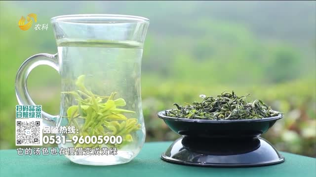 20260926《中国原产递》：日照绿茶