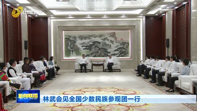 林武会见全国少数民族参观团一行