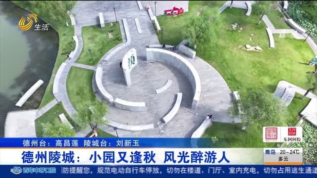 德州陵城：小园又逢秋 风光醉游人