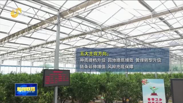 山东枣产业高质量发展暨枣设施栽培观摩会在滨州举办