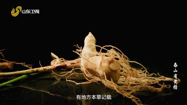 2026年09月29日《泰山有黄精》完整版