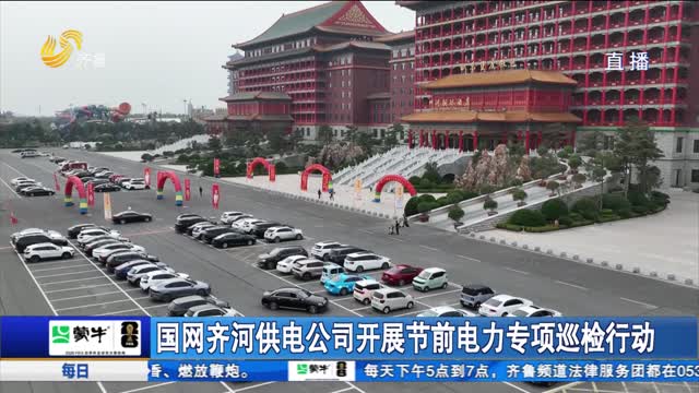 国网齐河供电公司开展节前电力专项巡检行动