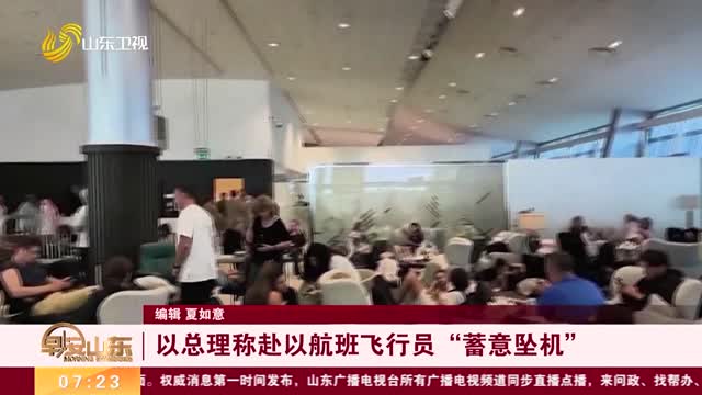 以总理称赴以航班飞行员“蓄意坠机”