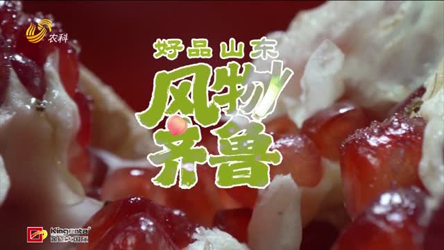 【好品山东 风物齐鲁】峄城石榴