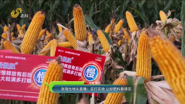 张强仕地头直播：实打实收 让好肥料看得见